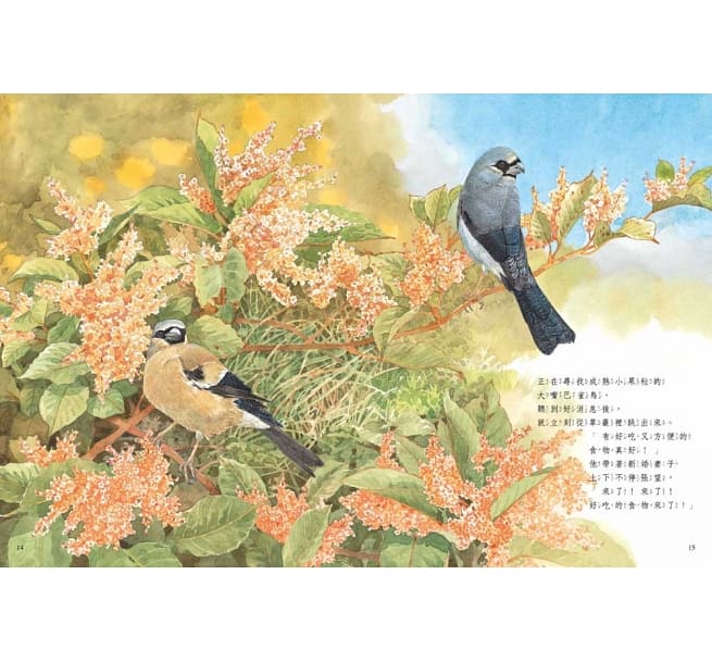 野鳥食堂(內含野鳥知識小百科)